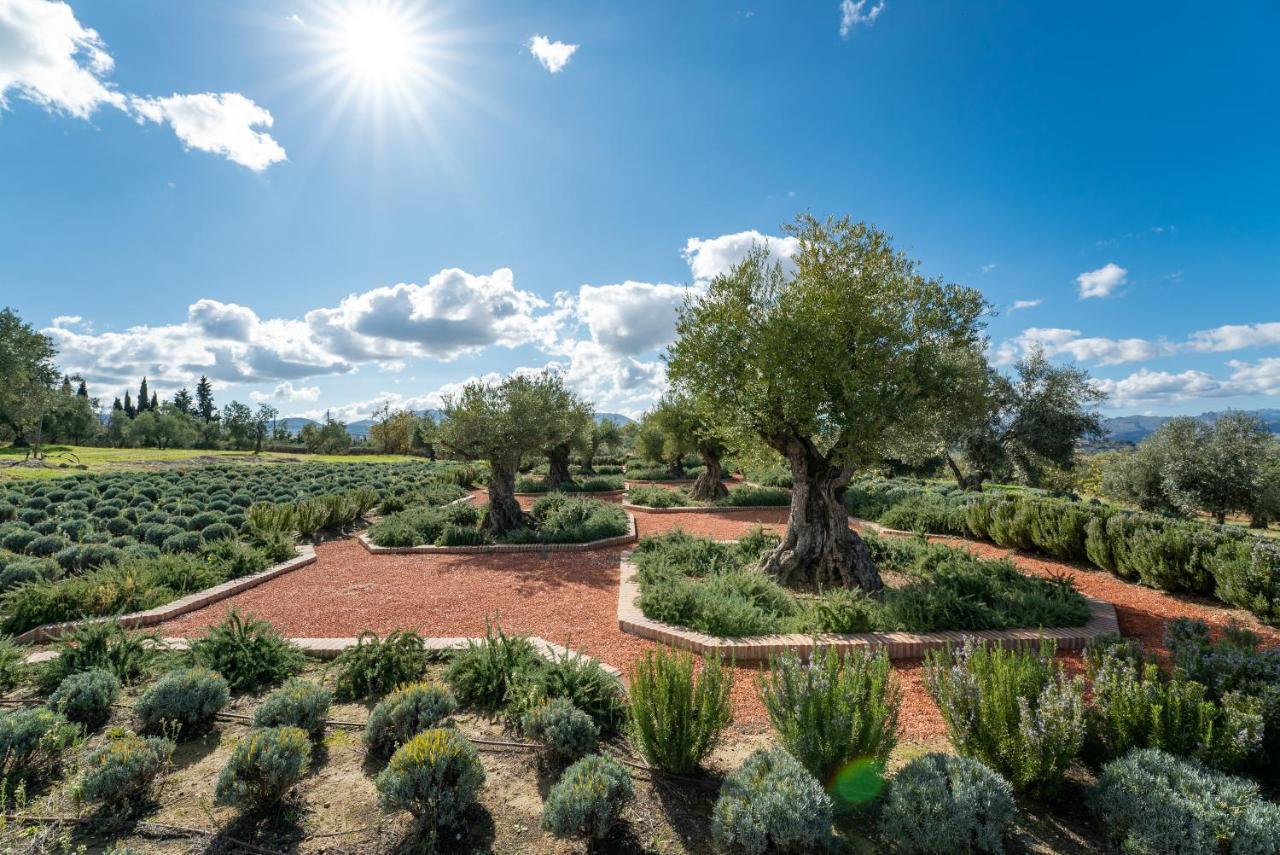 Cortijo La Organic Hotell Ronda Exteriör bild