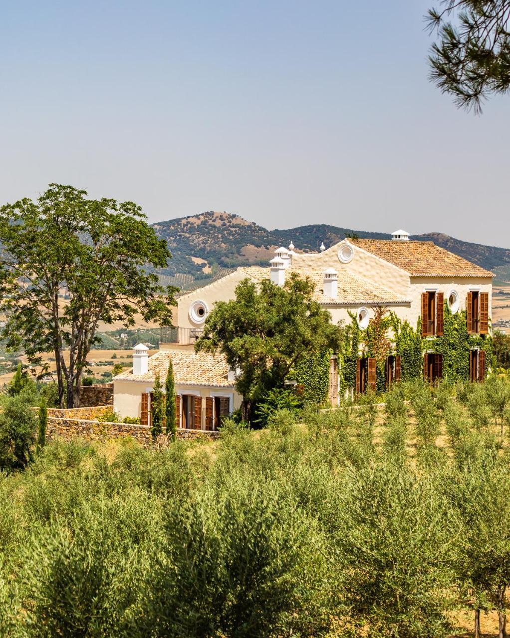 Cortijo La Organic Hotell Ronda Exteriör bild